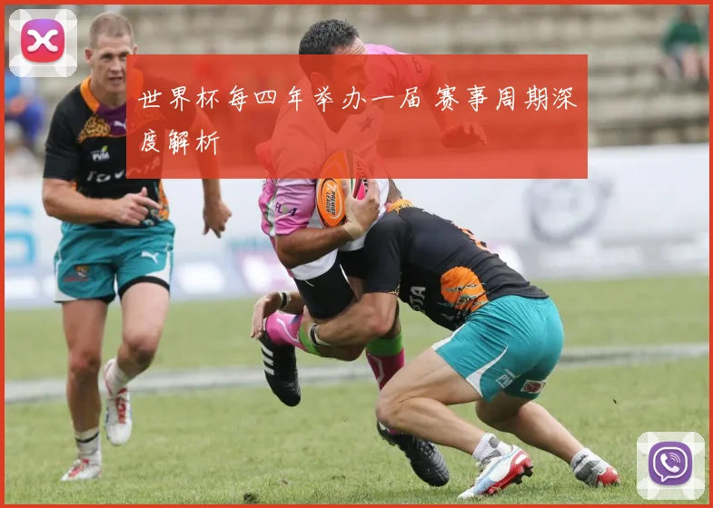 世界杯每四年举办一届 赛事周期深度解析