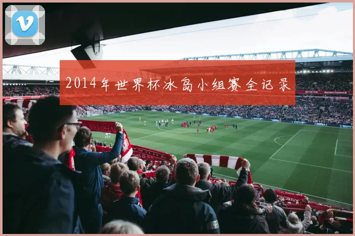 2014年世界杯冰岛小组赛全记录