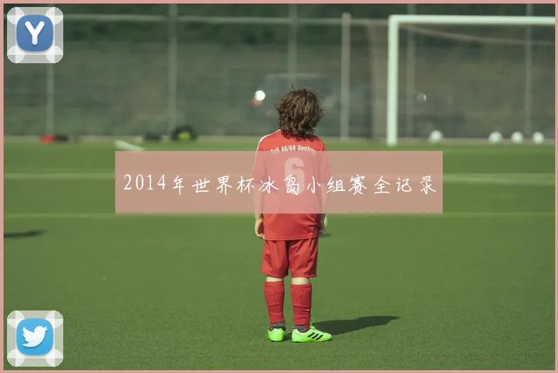2014年世界杯冰岛小组赛全记录