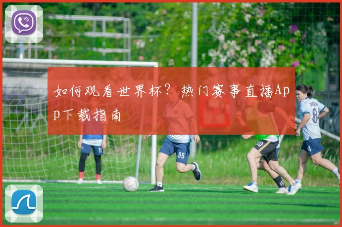 如何观看世界杯?热门赛事直播App下载指南