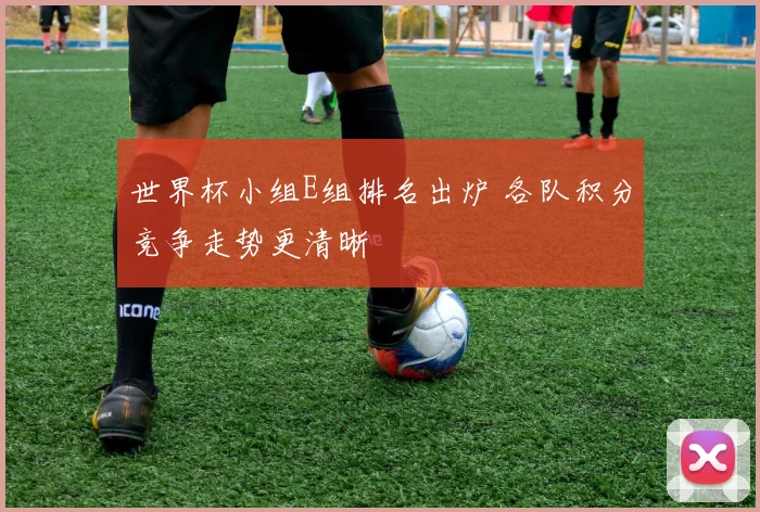 世界杯小组E组排名出炉 各队积分竞争走势更清晰
